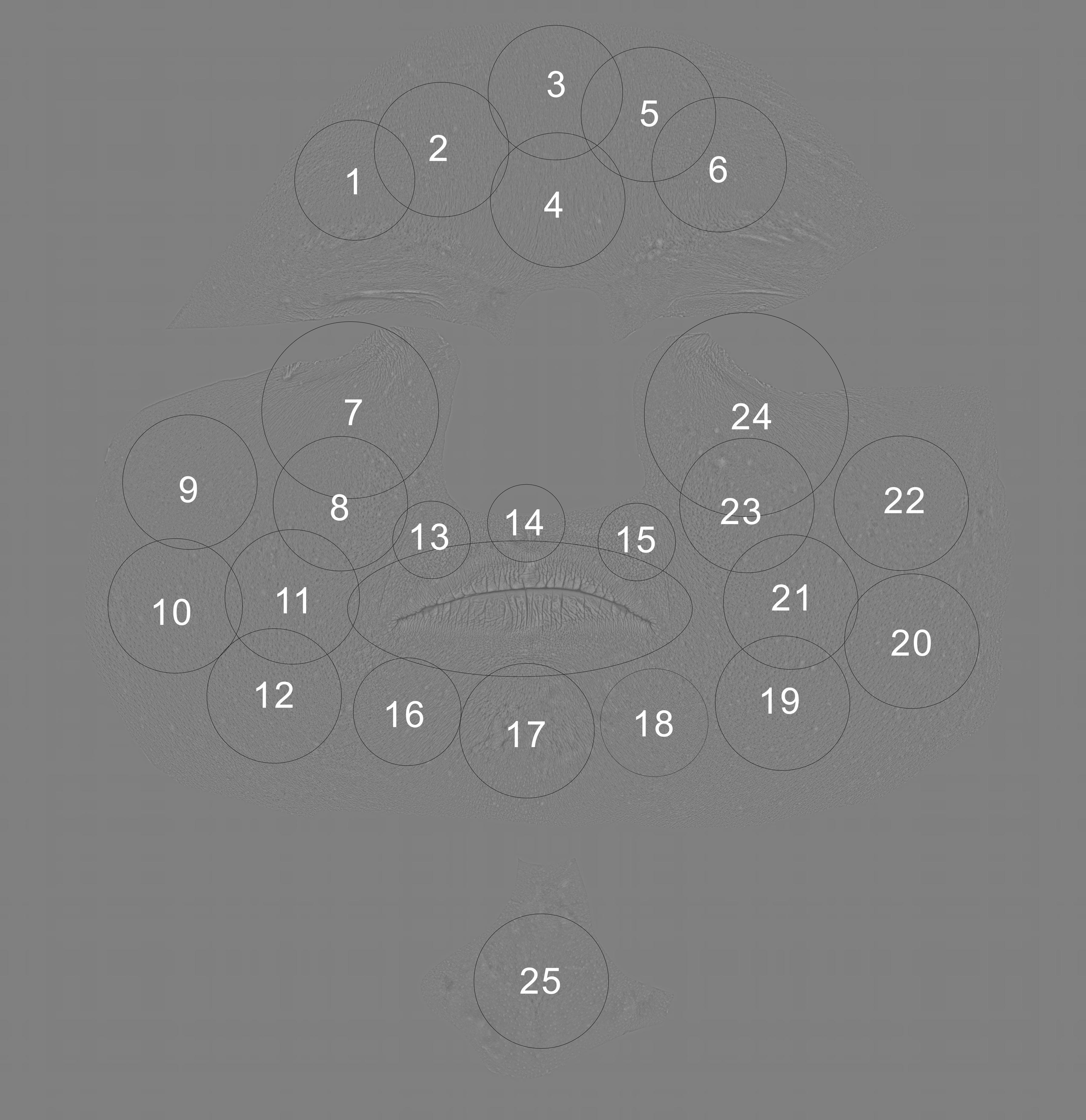 Ảnh của Chicken War Studio