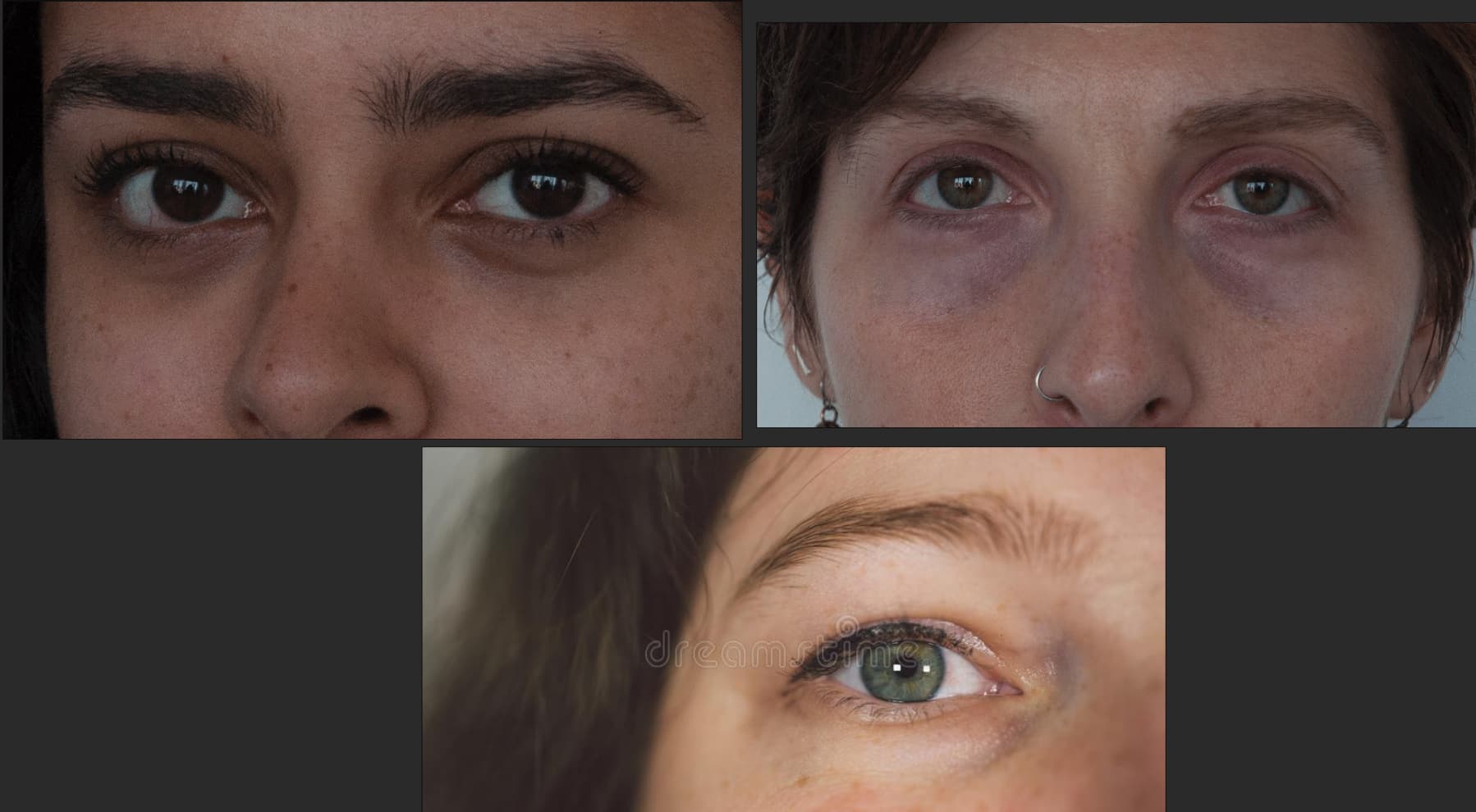 Ảnh của Chicken War Studio