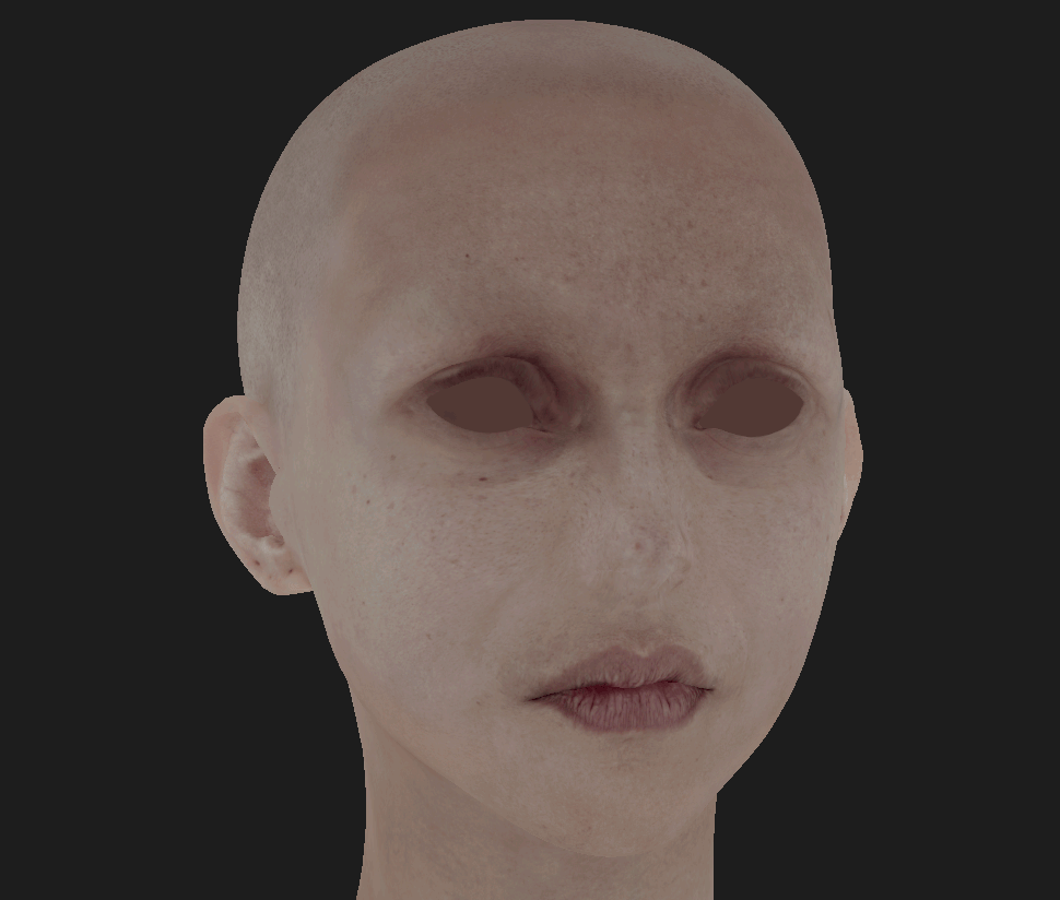 Ảnh của Chicken War Studio