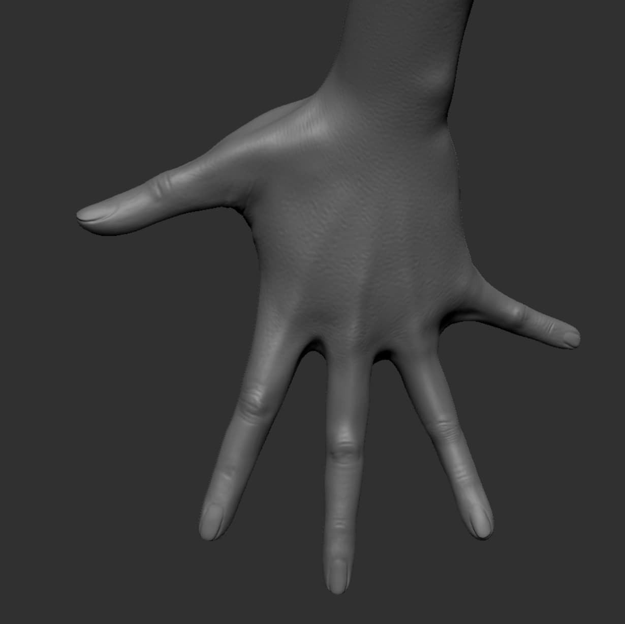 Ảnh của Chicken War Studio