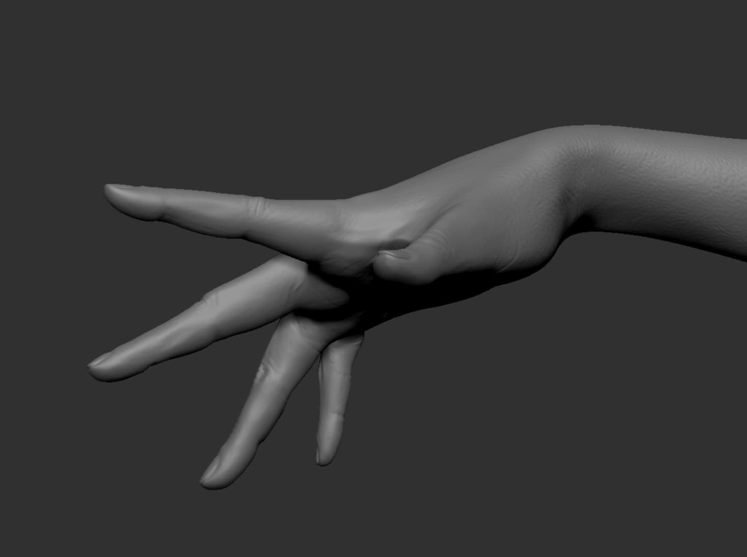 Ảnh của Chicken War Studio