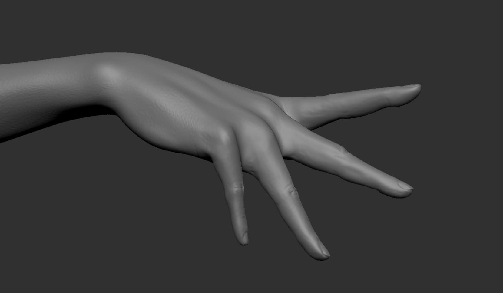 Ảnh của Chicken War Studio