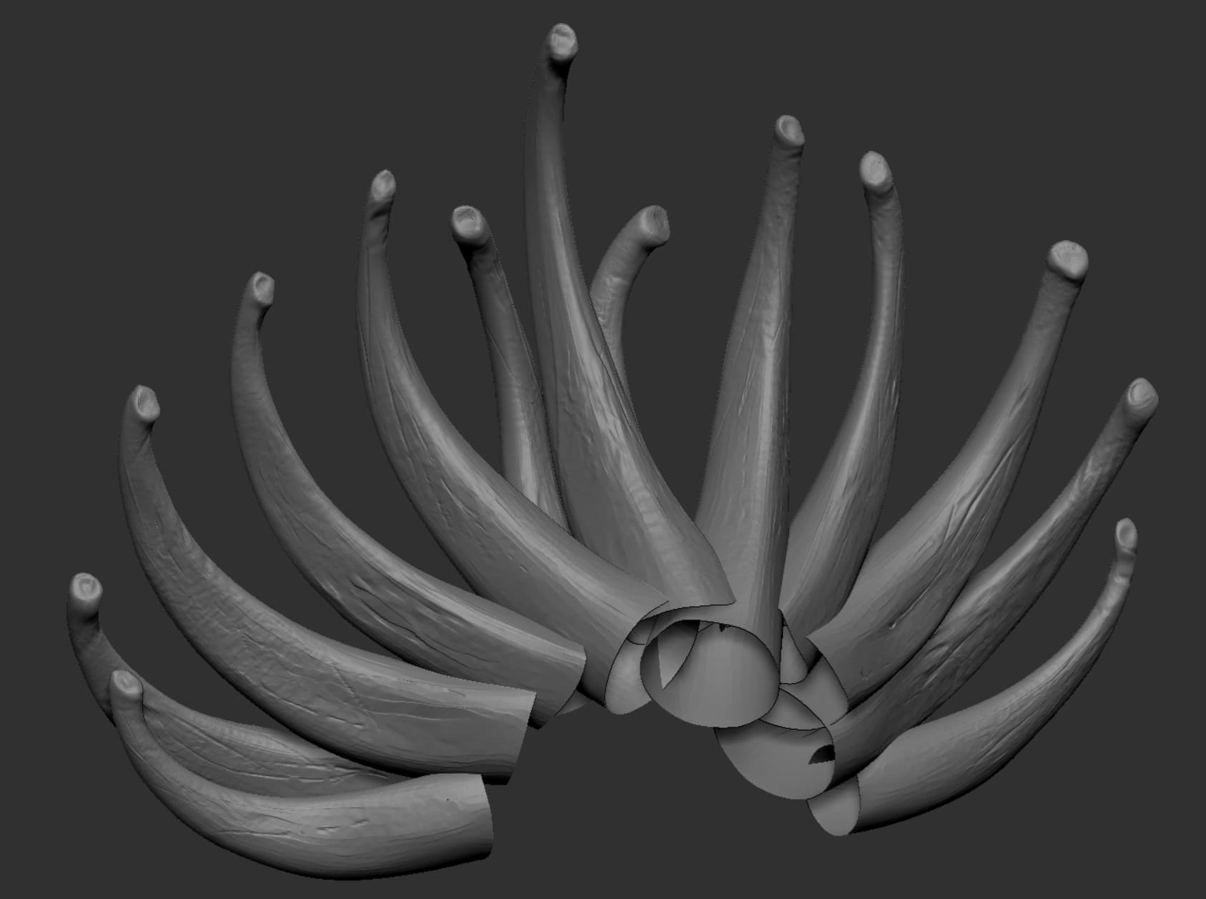 Ảnh của Chicken War Studio